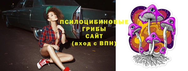 шишки Алексеевка