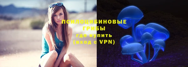 прущие крисы Алзамай