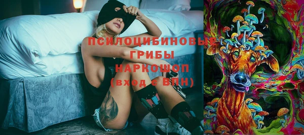 шишки Алексеевка