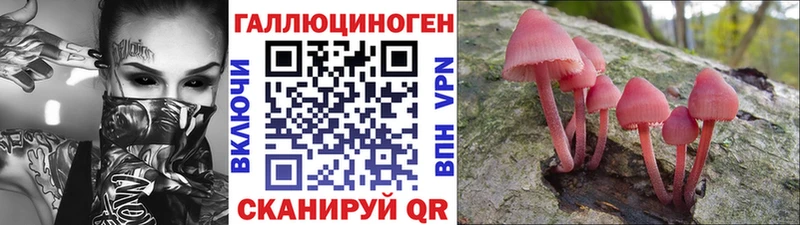 Псилоцибиновые грибы Psilocybine cubensis  Бобров 